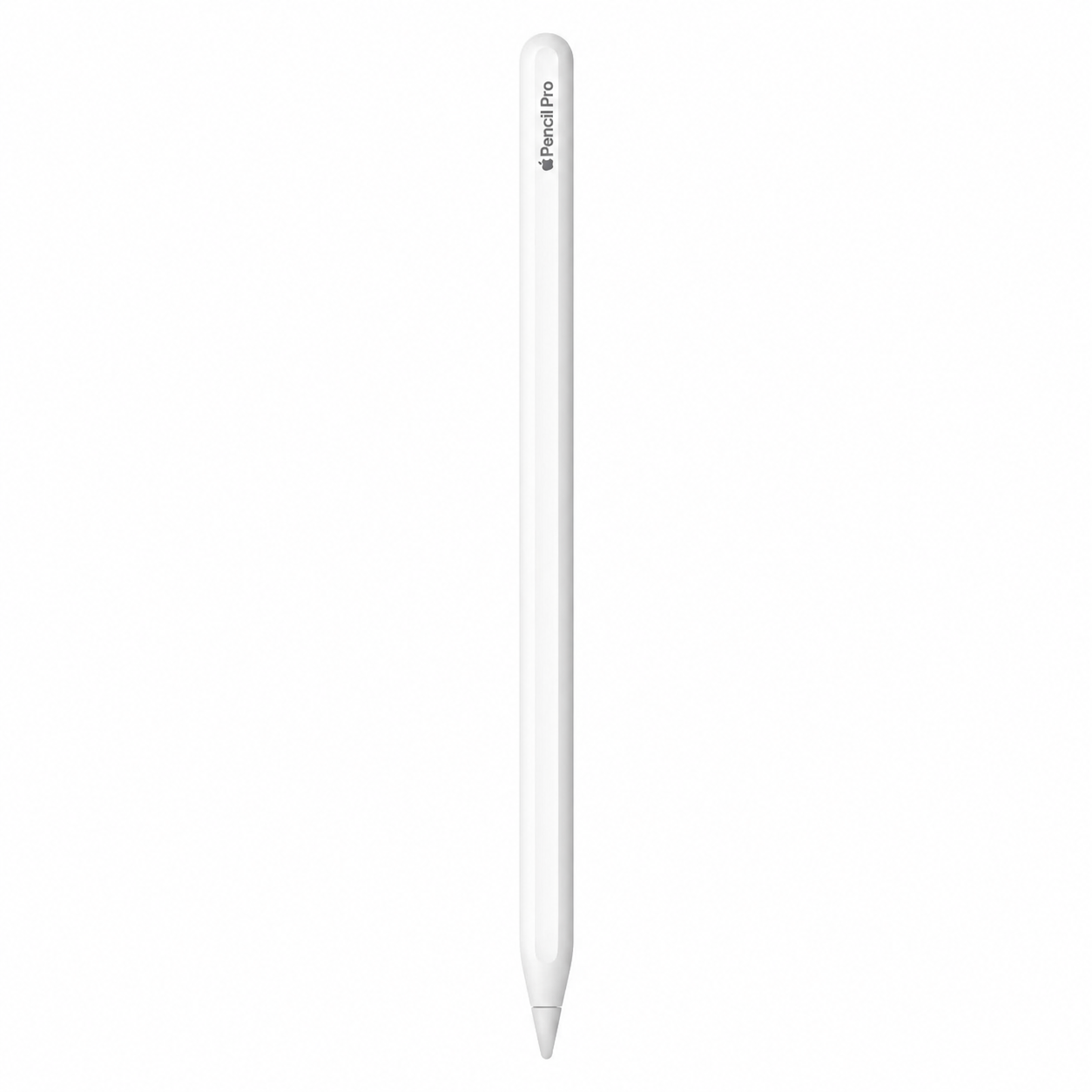아이패드 창작을 위한 혁신, Apple 애플펜슬 프로 솔직 사용 후기 이미지 1